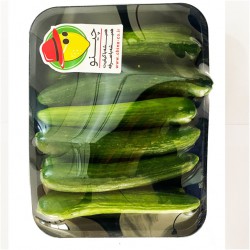 خیار درختی چینو 1 کیلوگرمی